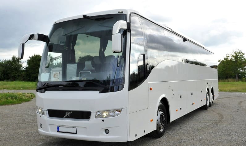 Europe: Buses agency in Netherlands in Netherlands and Netherlands